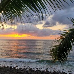 Retreat | Sea of Jade | Only Once: A Journey into Courage, Depth, and Joy1