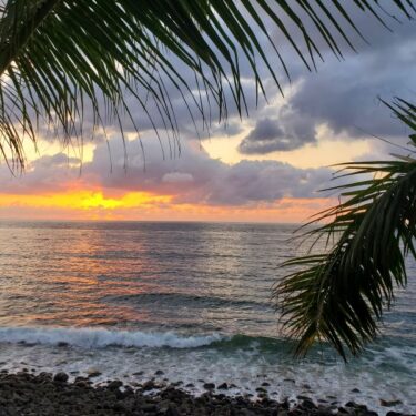 Only Once: A Journey into Courage, Depth, and Joy