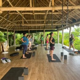 Retreat | Sea of Jade | Wellness and Iyengar Yoga Retreat for Sign Language Intepreters  1