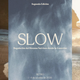 Retreat | Sea of Jade | SLOW, regulación del sistema nervioso desde la conexión.1