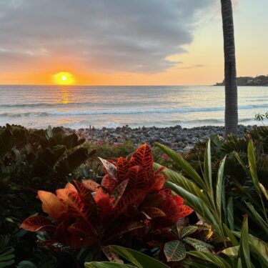 This Wild and Precious Life: A Mindfulness Retreat
